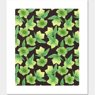 Green Hellebore on Chocolate Background Posters and Art